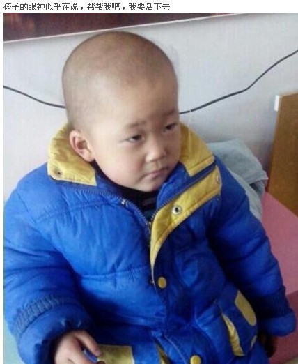 善心莲心 <wbr>捐助白血病患儿冯梓文医疗费