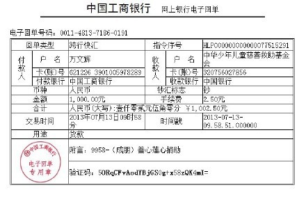 善心莲心 <wbr>捐助脑肿瘤患儿成朋医疗费