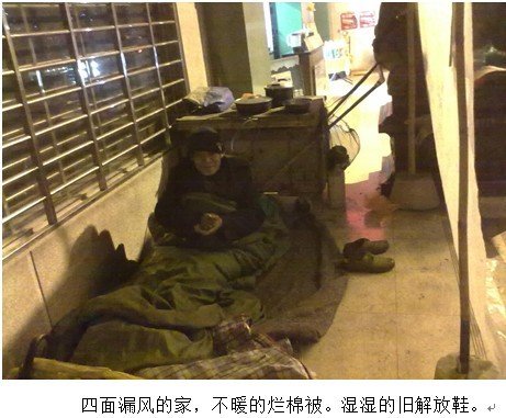 寒冬里给流浪者暖暖的关怀