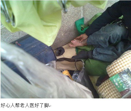 寒冬里给流浪者暖暖的关怀