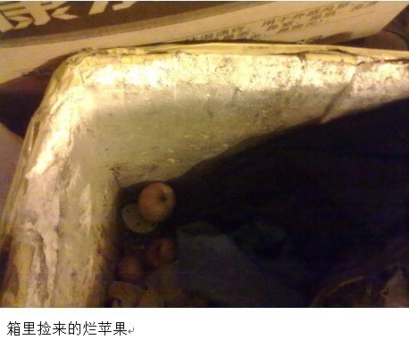 寒冬里给流浪者暖暖的关怀