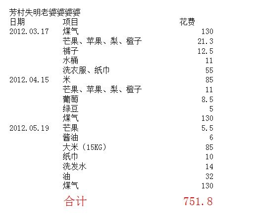 善心莲心&nbsp;<wbr>资助芳村失明老人生活费（第二期报告）