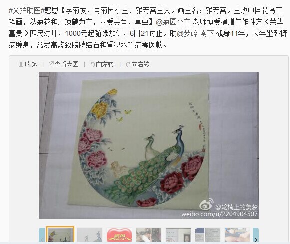 善心莲心&nbsp;<wbr>义拍助医截瘫患者熊良源
