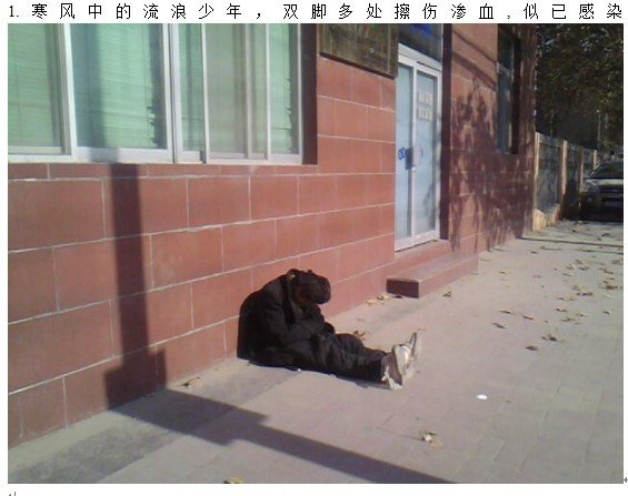 善心莲心&nbsp;<wbr>温暖这个寒冬