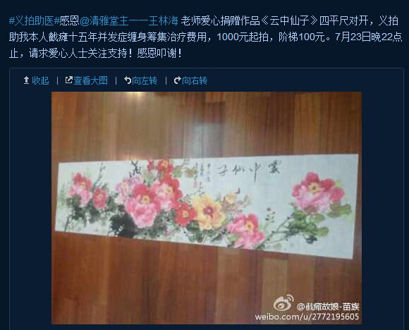 善心莲心&nbsp;<wbr>义拍资助截瘫病人杨汪四医疗费