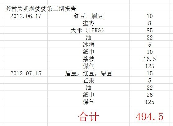 善心莲心&nbsp;<wbr>资助芳村失明老人生活费（第三期报告）