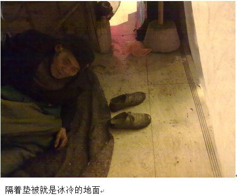 寒冬里给流浪者暖暖的关怀