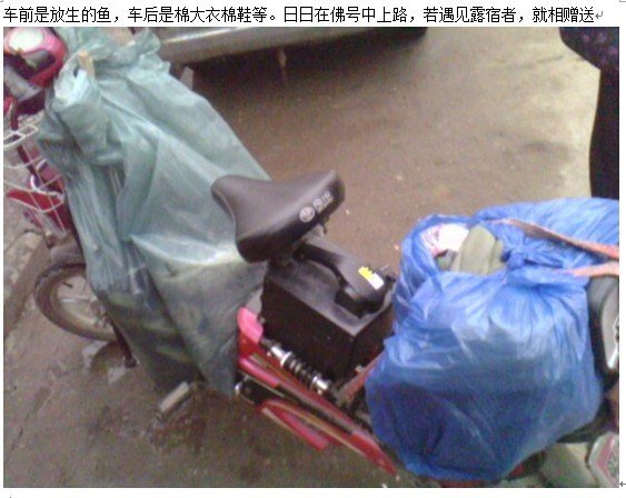 善心莲心&nbsp;<wbr>温暖这个寒冬