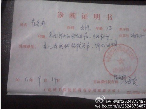 善心莲心&nbsp;<wbr>捐助白血病儿童崔思晗