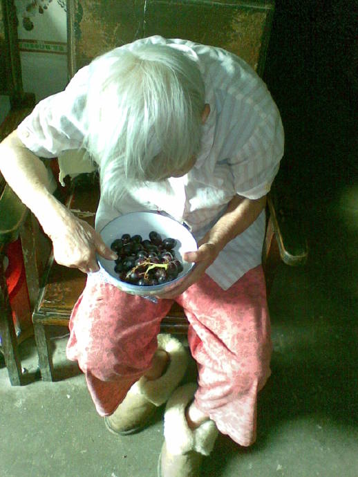 善心莲心&nbsp;<wbr>资助芳村失明老人生活费（第二期报告）