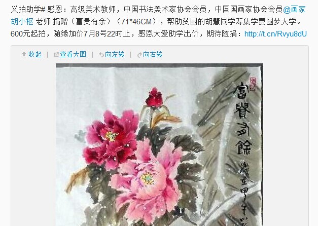 善心莲心&nbsp;<wbr>义拍资助胡慧同学学费