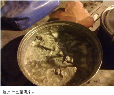 寒冬里给流浪者暖暖的关怀
