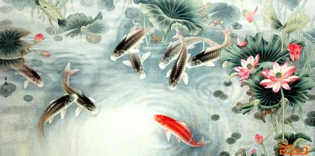鲤鱼妈妈的心声
