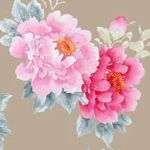 玉梵子